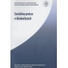 Sociálna práca v Globalizácii