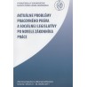 Aktuálne problémy pracovného práva a sociálnej legislatívy po novele Zákonníka práce